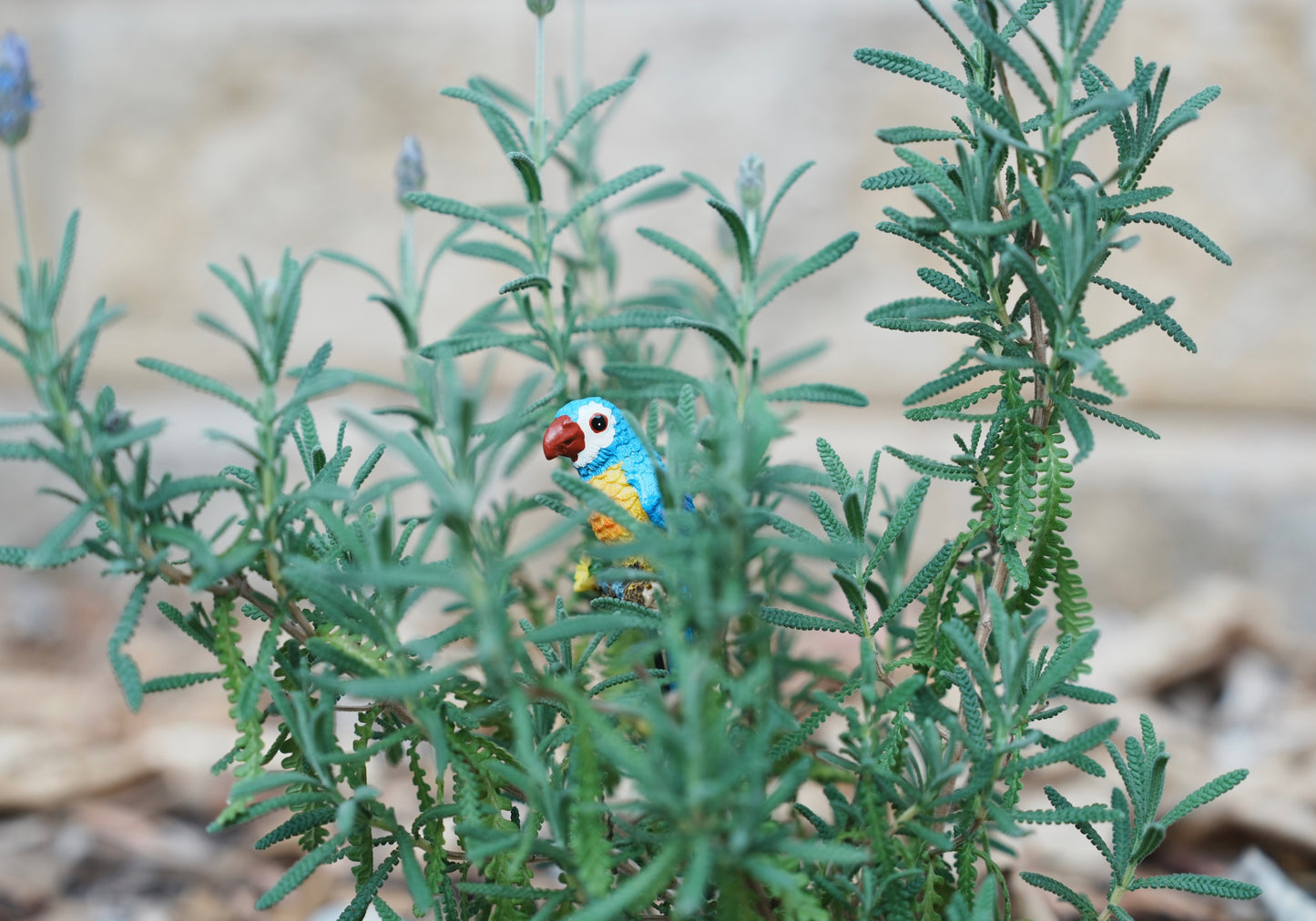 Hand-Painted Parrot Garden Stake