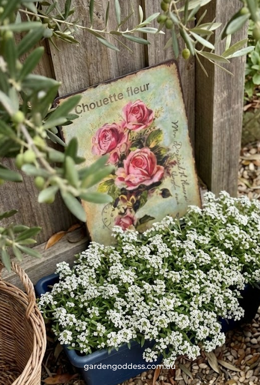 Vintage Cottagecore Rose Metal Wall Sign - Shabby Chic Garden & Fence Decor