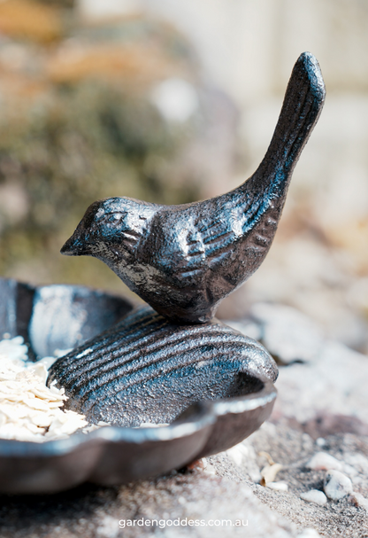 Rustic Cast Iron Bird Feeder & Mini Bird Bath Dish | Heavy Duty Vintage Garden Ornament (13.5cm)