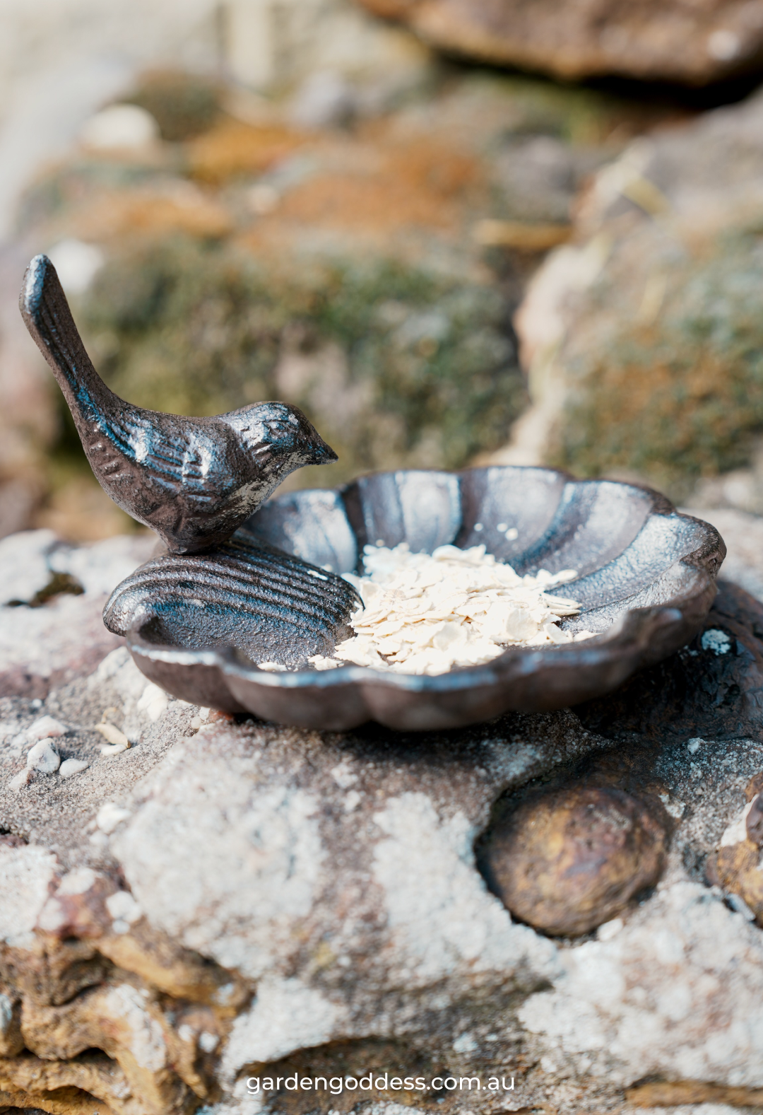 Rustic Cast Iron Bird Feeder & Mini Bird Bath Dish | Heavy Duty Vintage Garden Ornament (13.5cm)