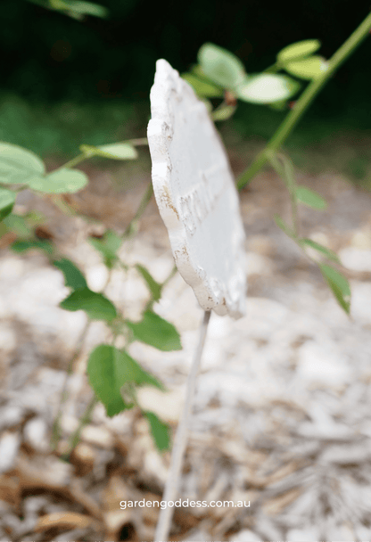 "Grow Dammit" Funny Garden Stake – Shabby Chic Cast Iron Style Plant Marker