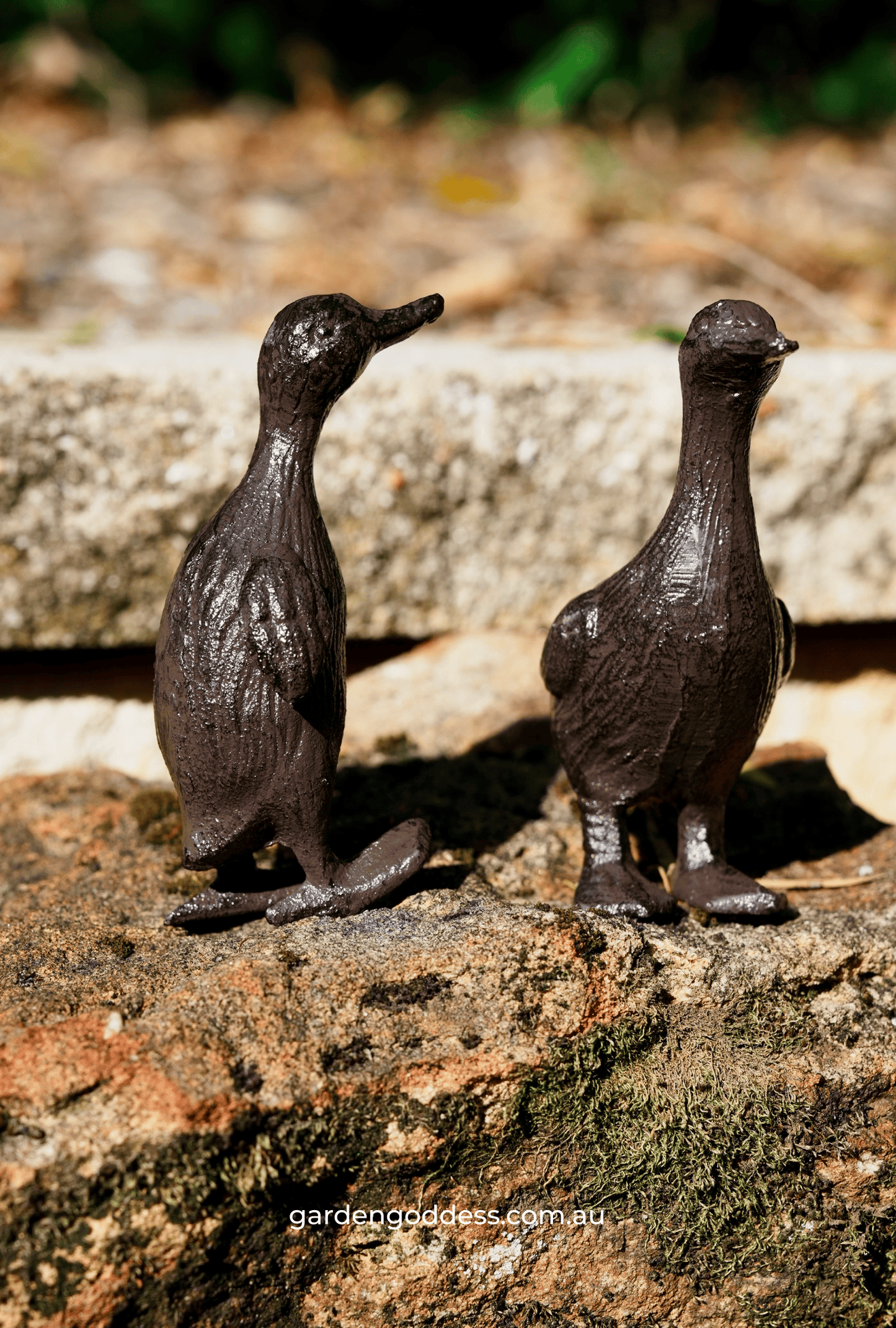 Garden Cast Iron Duck Statue Set (Set of 2) Solid Iron Decorative Garden Ornaments